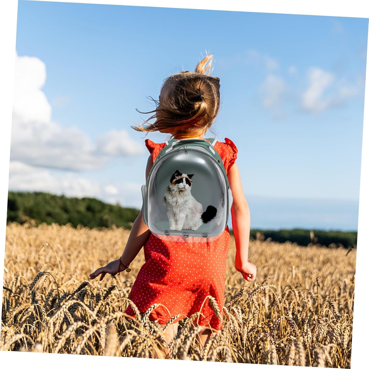 Pet Carrier Mesh Dog Backpack Travel Bag for Puppy Lightweight Sightseeing Backpack (Dark)