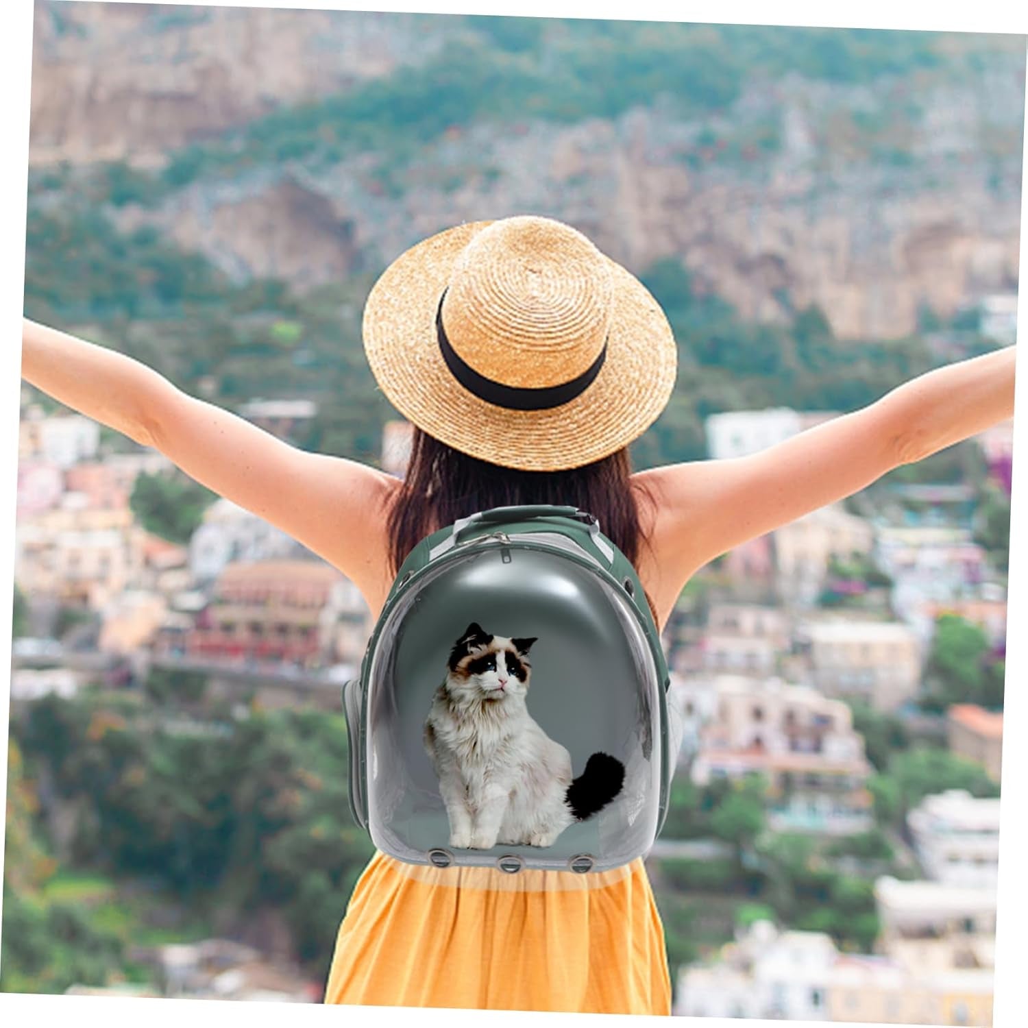 Pet Carrier Mesh Dog Backpack Travel Bag for Puppy Lightweight Sightseeing Backpack (Dark)